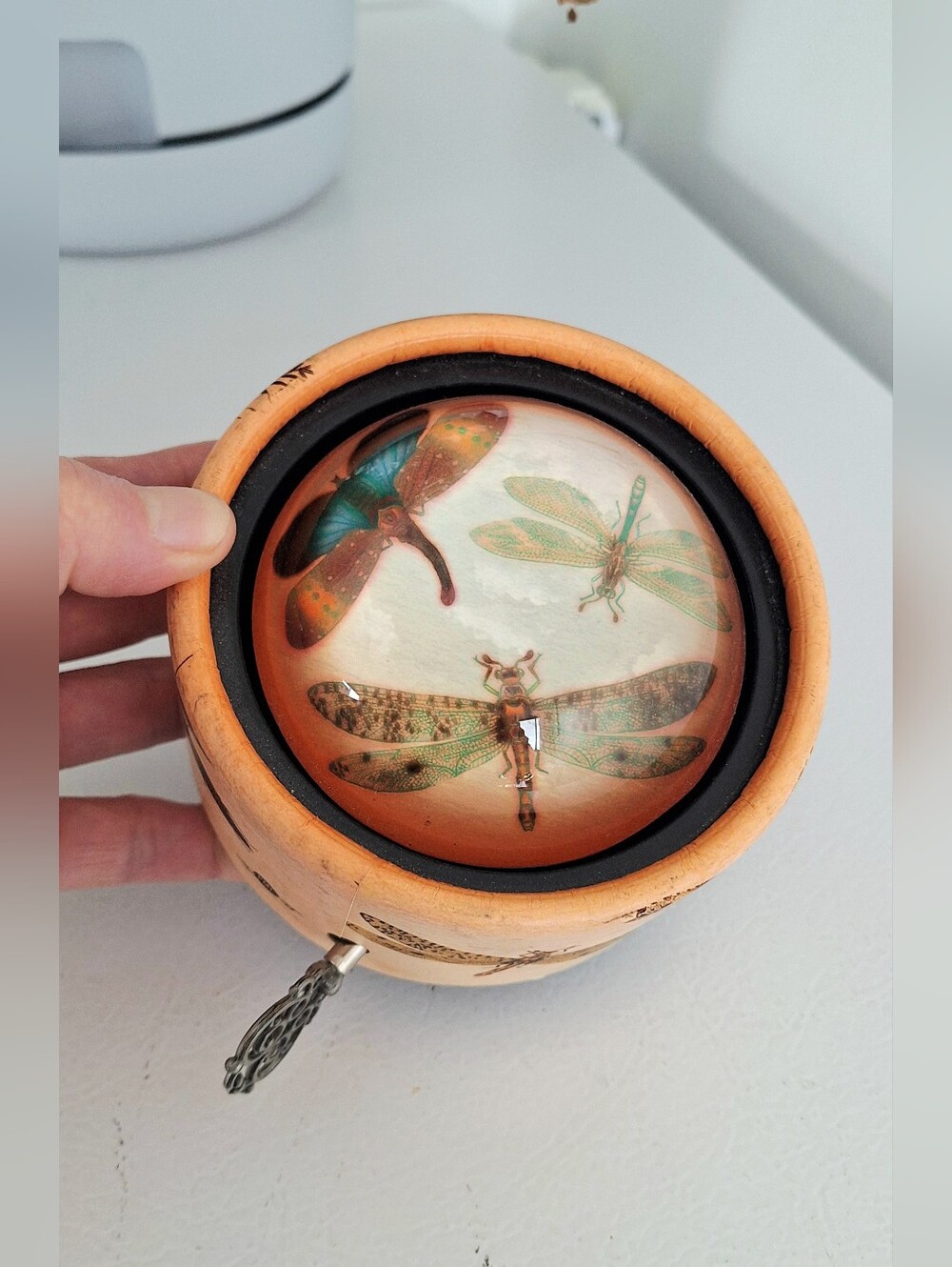 Musical box with rotating lens